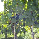Il Fornello Séjour à la ferme Volterra